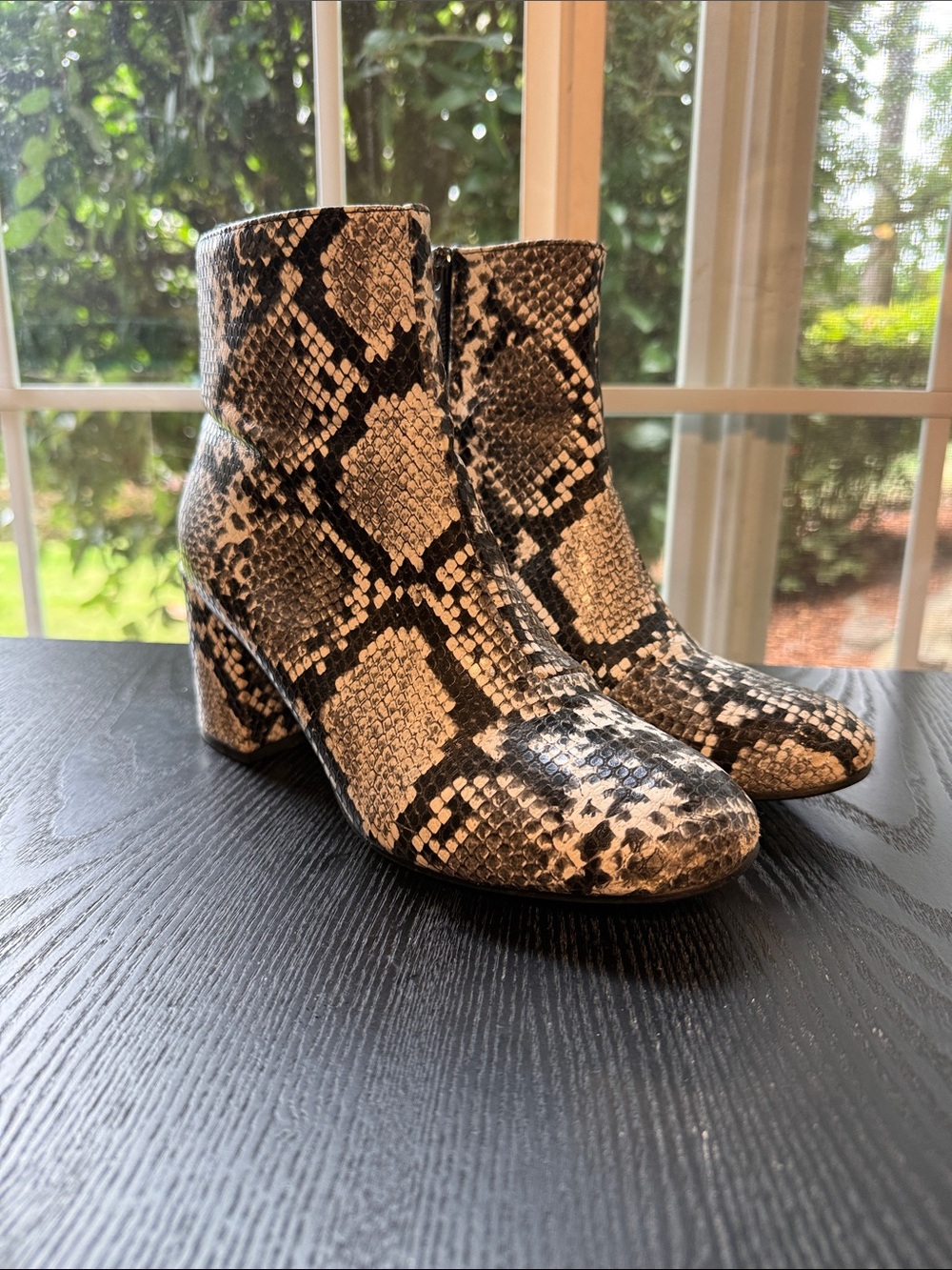 Catherine Malandrino Snake-Print Block Heel Ankle Boots - Black & Cream